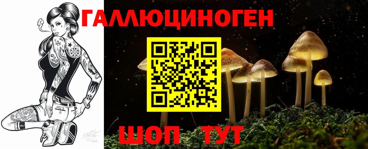 Псилоцибиновые грибы прущие грибы  Псилоцибиновые грибы мицелий  Туапсе  магазин продажи   Вход с VPN 