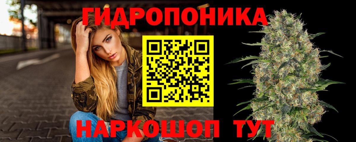 Марихуана план  Вход с VPN  Туапсе  Канабис OG Kush 
